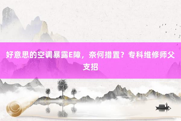 好意思的空调暴露E障，奈何措置？专科维修师父支招